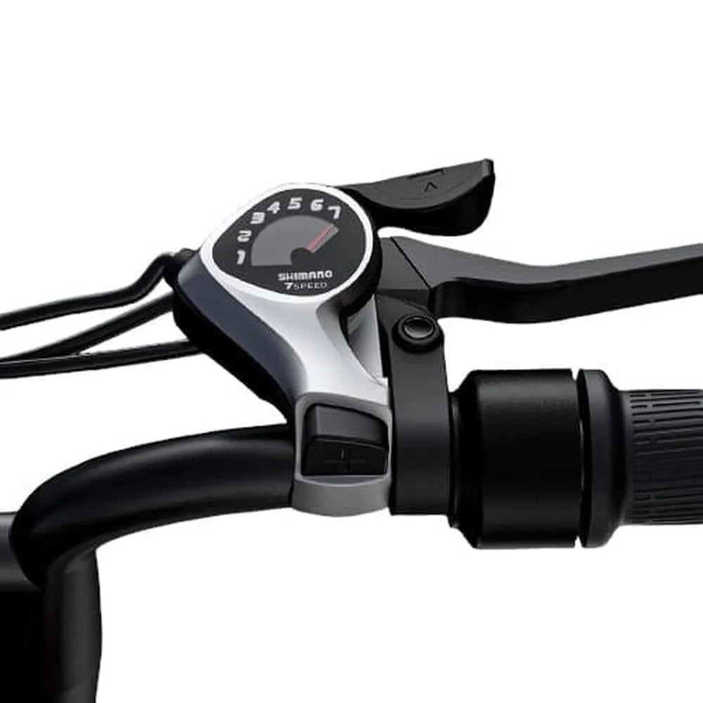ENGWE M20 - Dual Battery - Black
