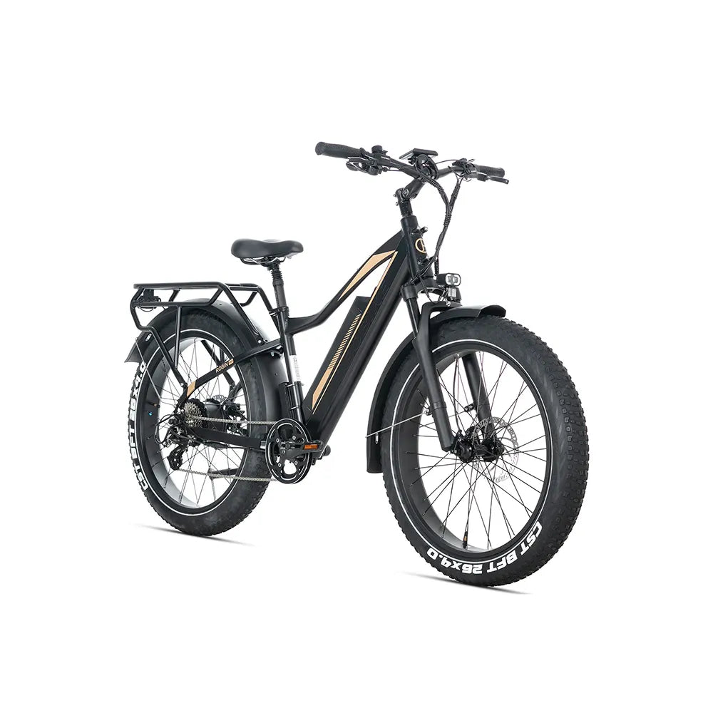 JOBOBIKE Robin Pro - Black-Gold