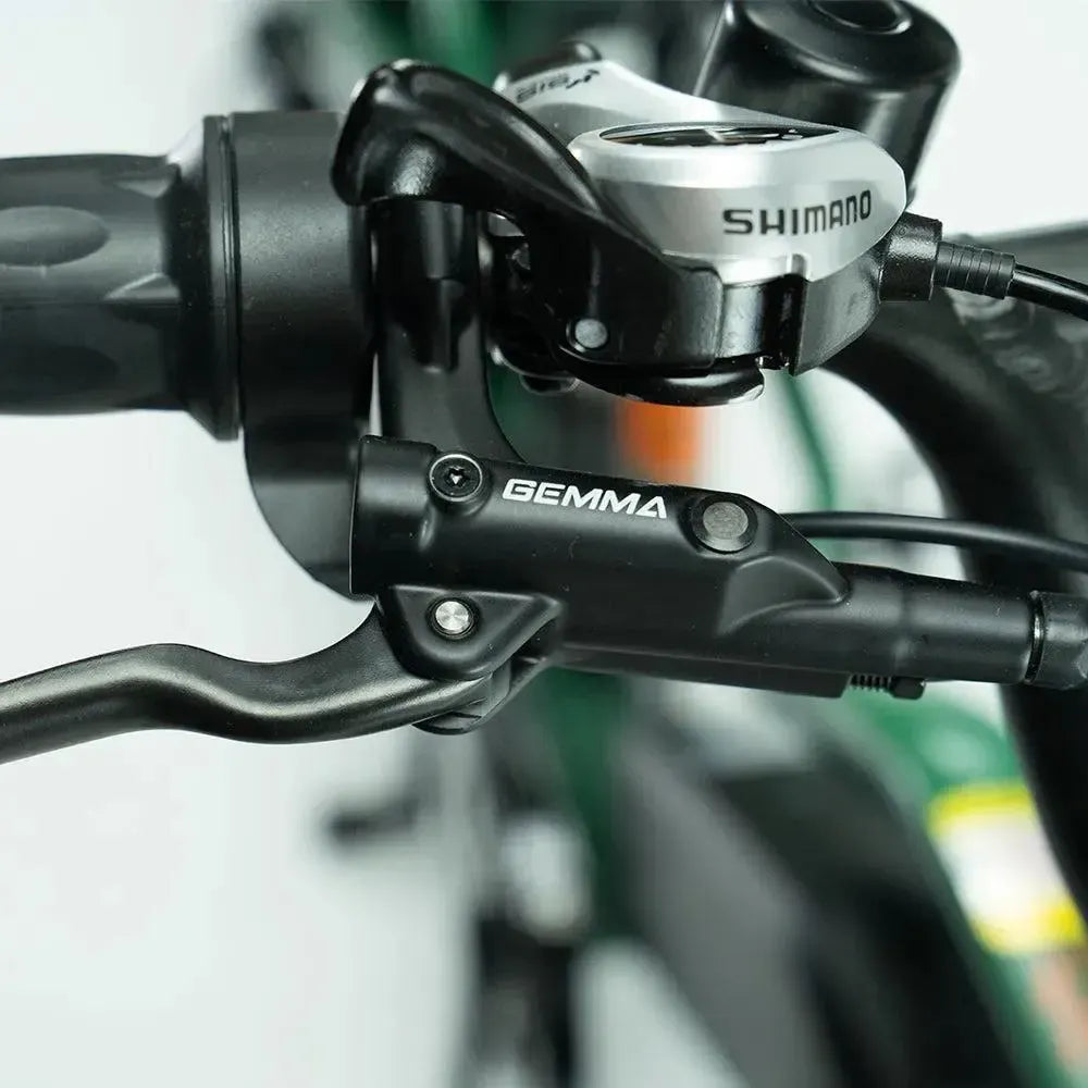 JOBOBIKE Transer - Longtail - Green