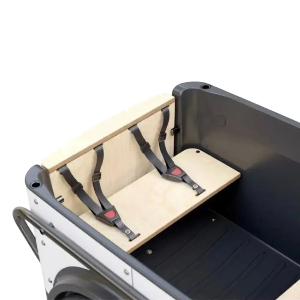 Royal Cargo Bike 3W Premium - Anthracite