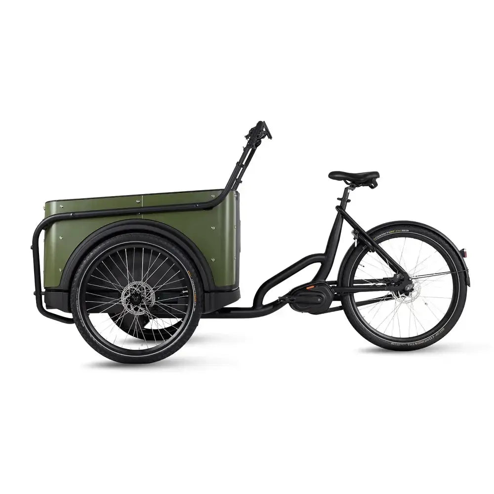 Royal Cargo Bike 3W Premium - Green