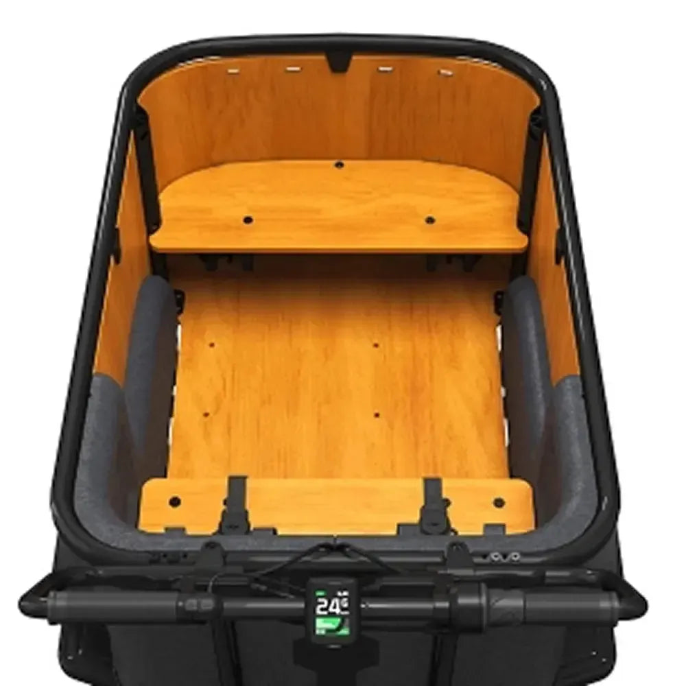 Cangoo Buckle Up - Black