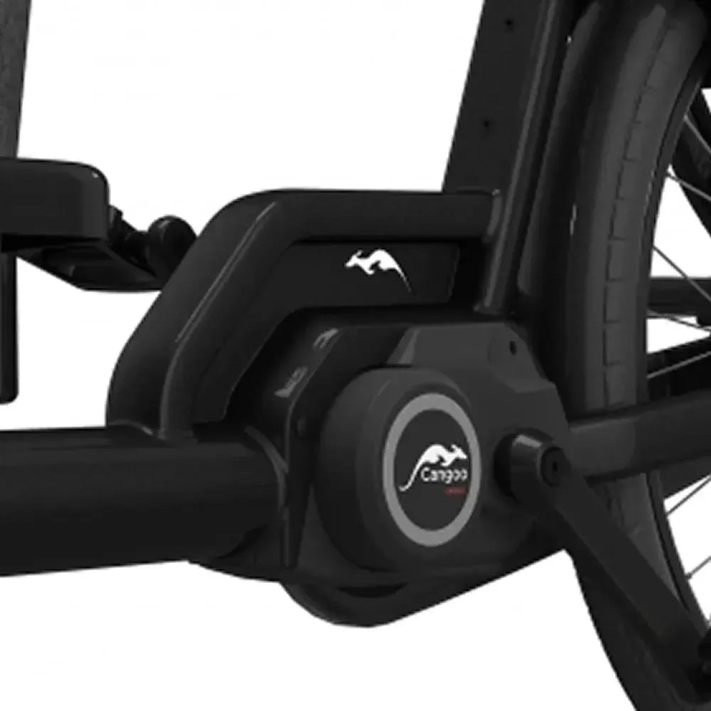 Cangoo Buckle Up - Black