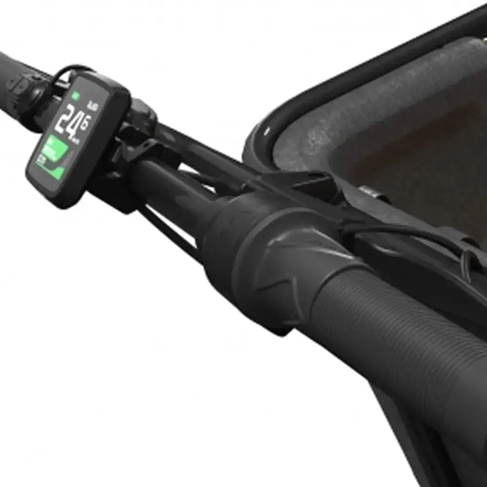 Cangoo Buckle Up - Black