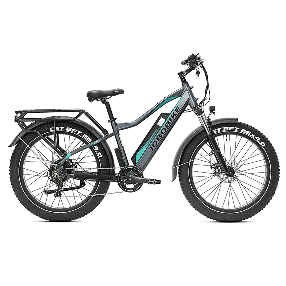 JOBOBIKE Robin - Gray/Green