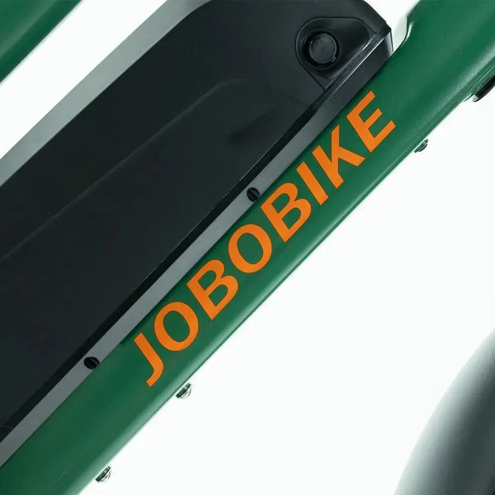 JOBOBIKE Transer - Longtail - Green