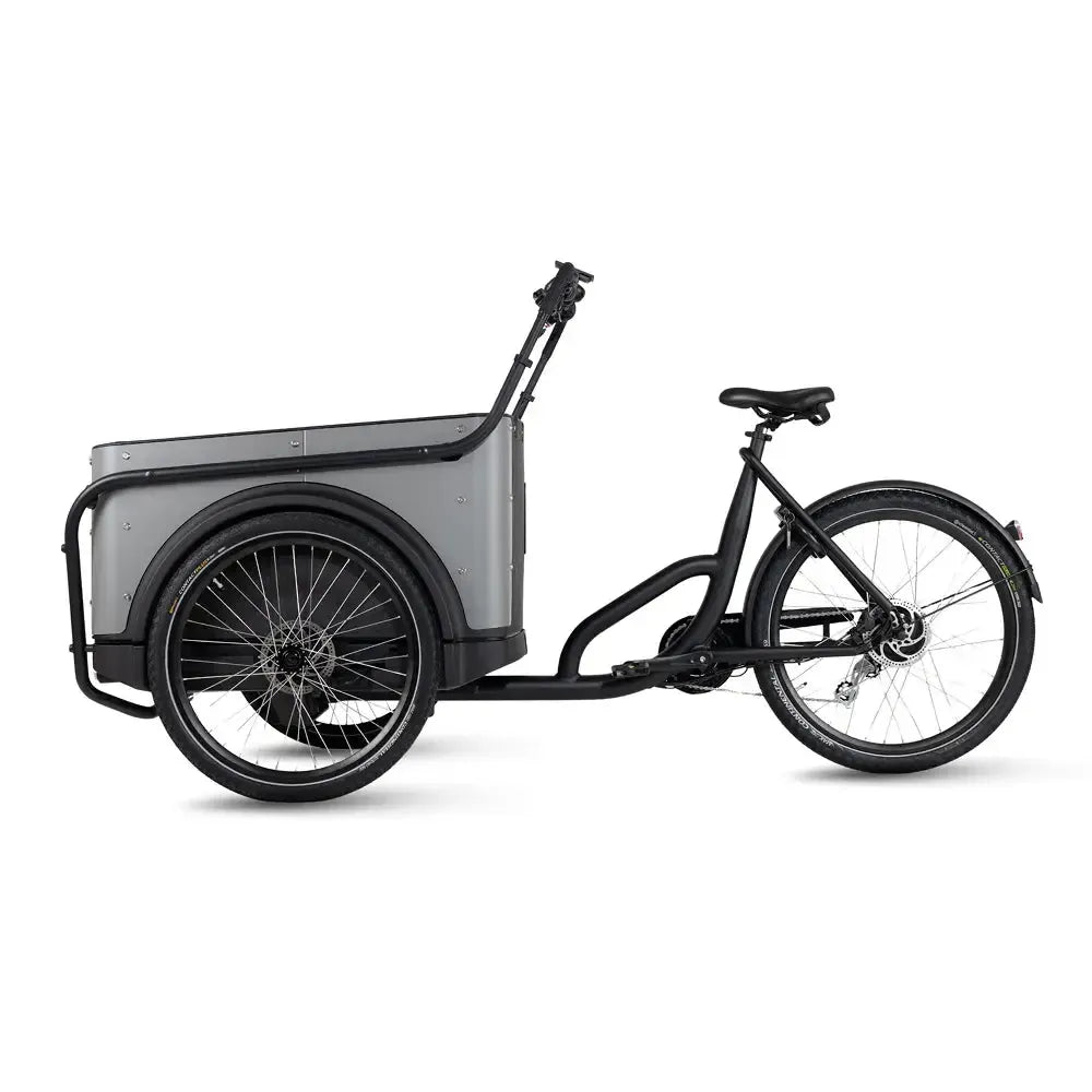 Royal Cargo Bike 3W Eco - Gray