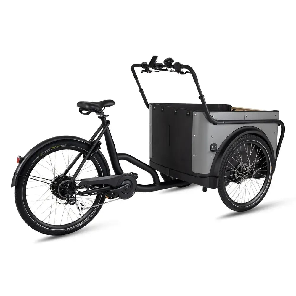 Royal Cargo Bike 3W Eco - Gray