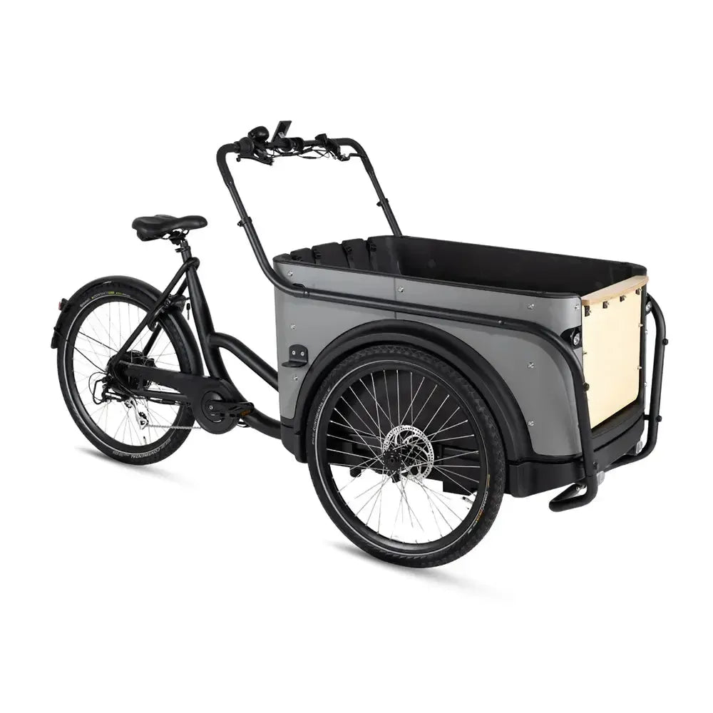 Royal Cargo Bike 3W Eco - Gray