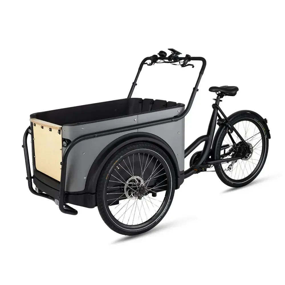 Royal Cargo Bike 3W Eco - Gray