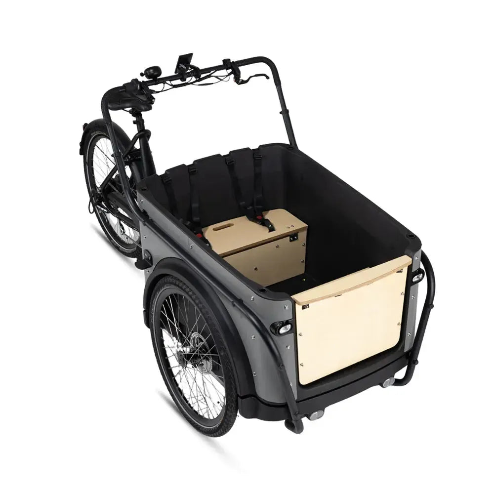 Royal Cargo Bike 3W Eco - Gray