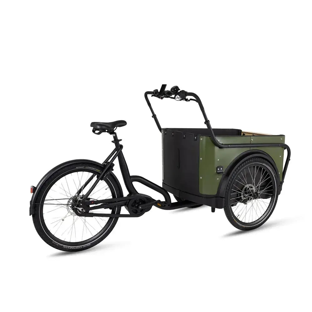 Royal Cargo Bike 3W Premium - Green