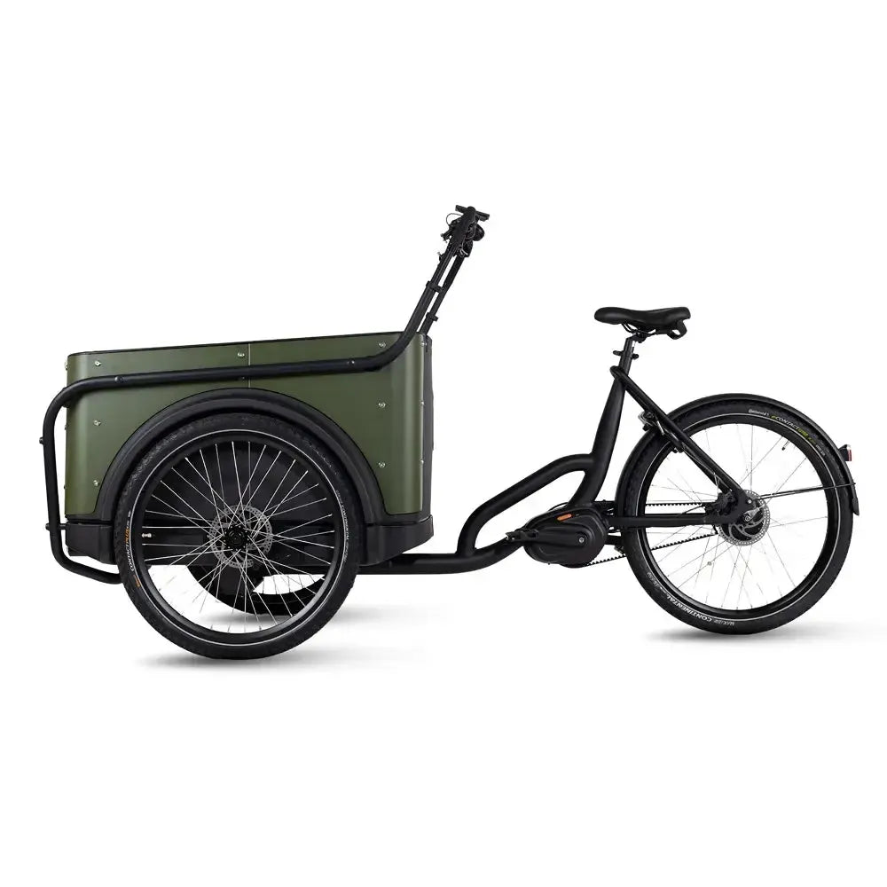 Royal Cargo Bike 3W Premium Plus - Green