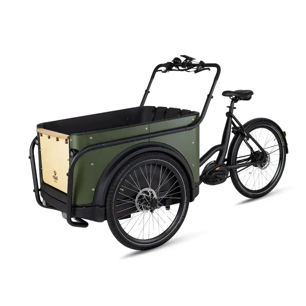 Royal Cargo Bike 3W Premium Plus - Green