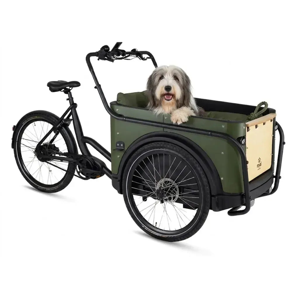 Royal Cargo Bike 3W Premium Plus - Green