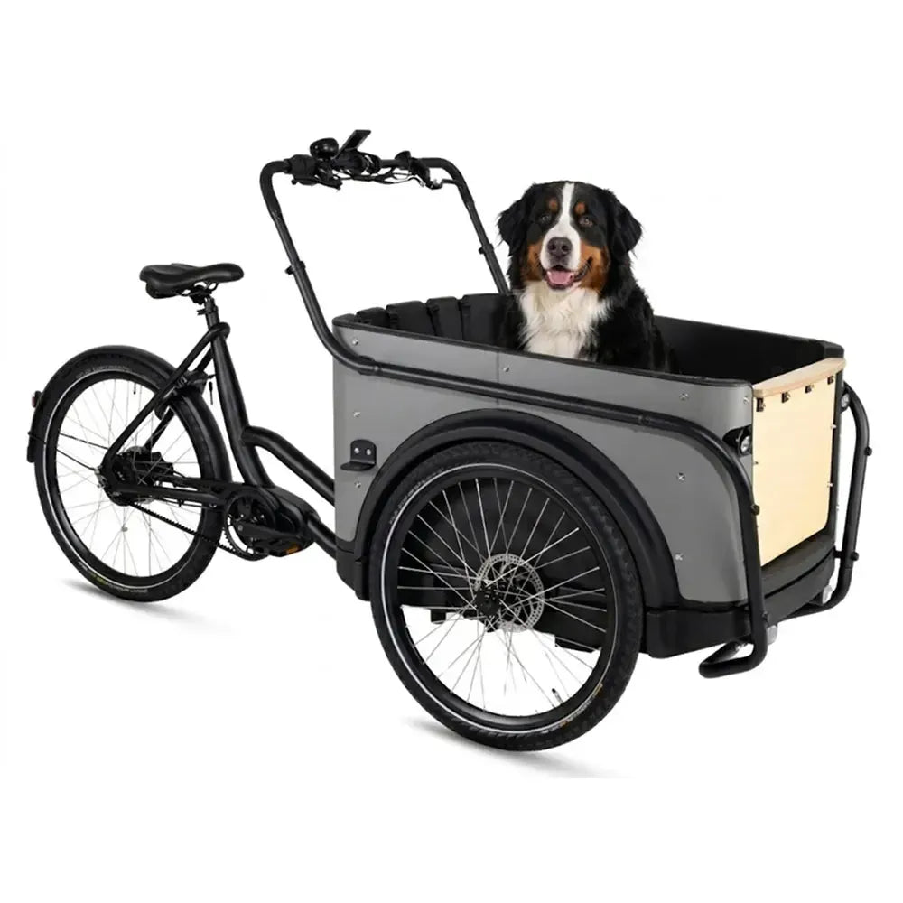 Royal Cargo Bike 3W Premium Plus - Taupe Gray