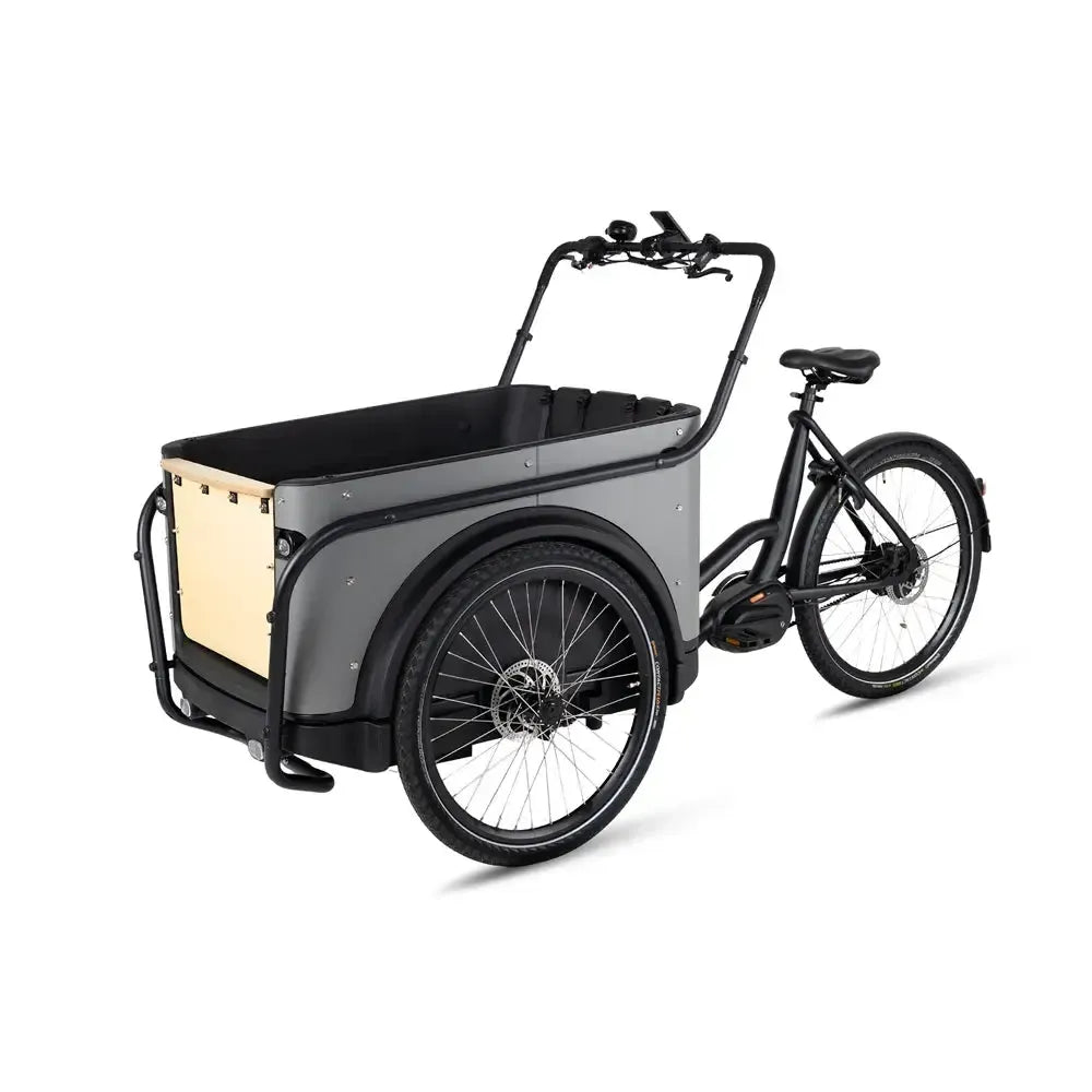Royal Cargo Bike 3W Premium Plus - Taupe Gray