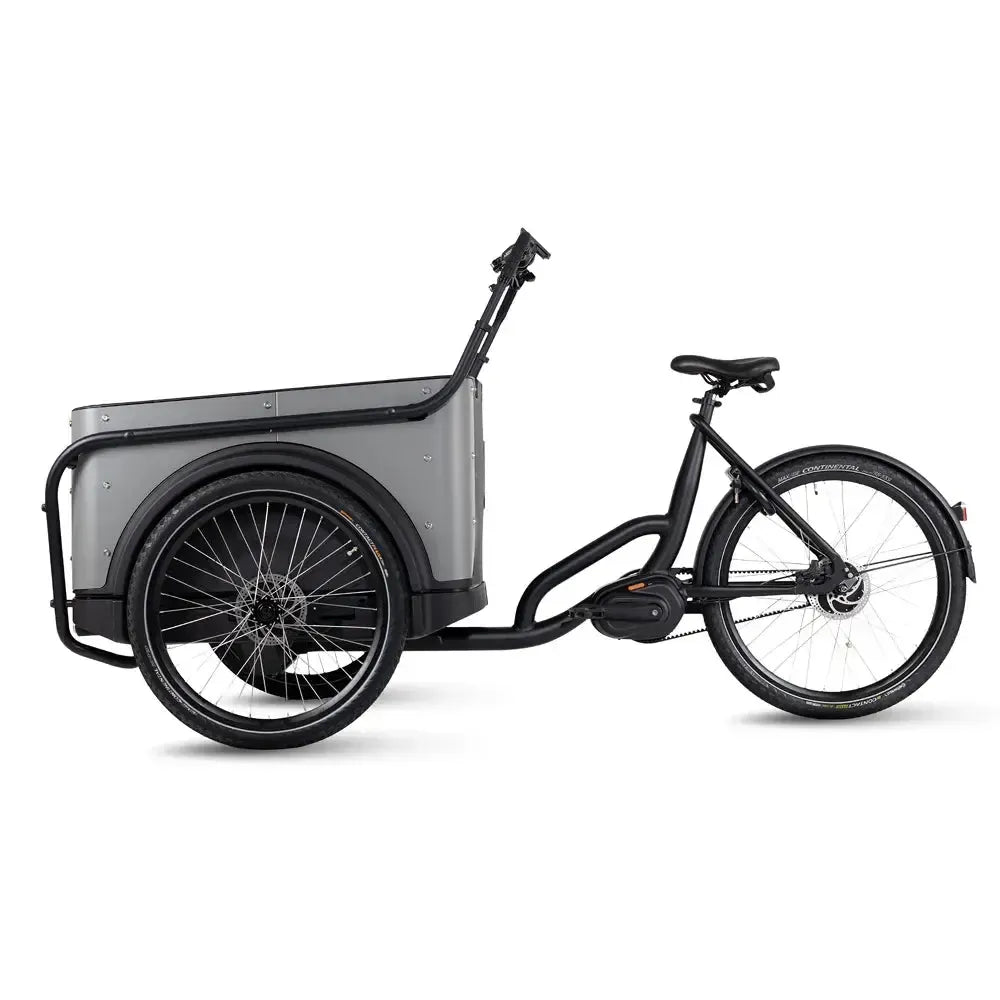 Royal Cargo Bike 3W Premium Plus - Taupe Gray