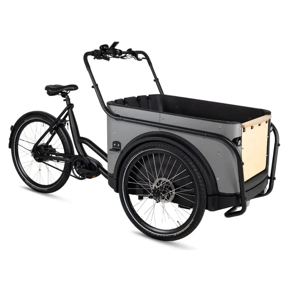 Royal Cargo Bike 3W Premium Plus - Taupe Gray
