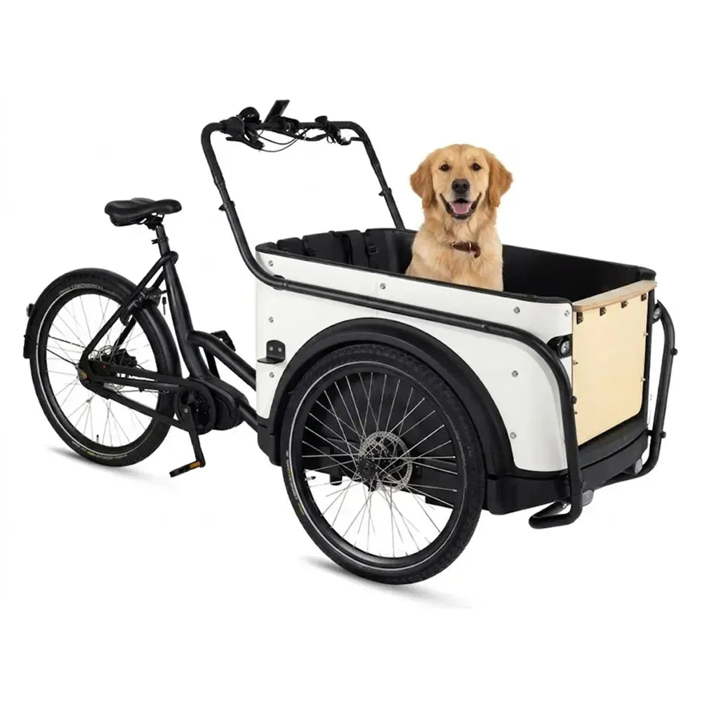 Royal Cargo Bike 3W Premium - White