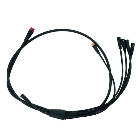 V20 - Wiring Harness