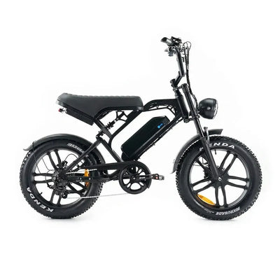 Fatbikes