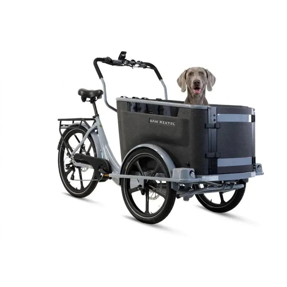 Van Rixtel Dog - Nardo Gray
